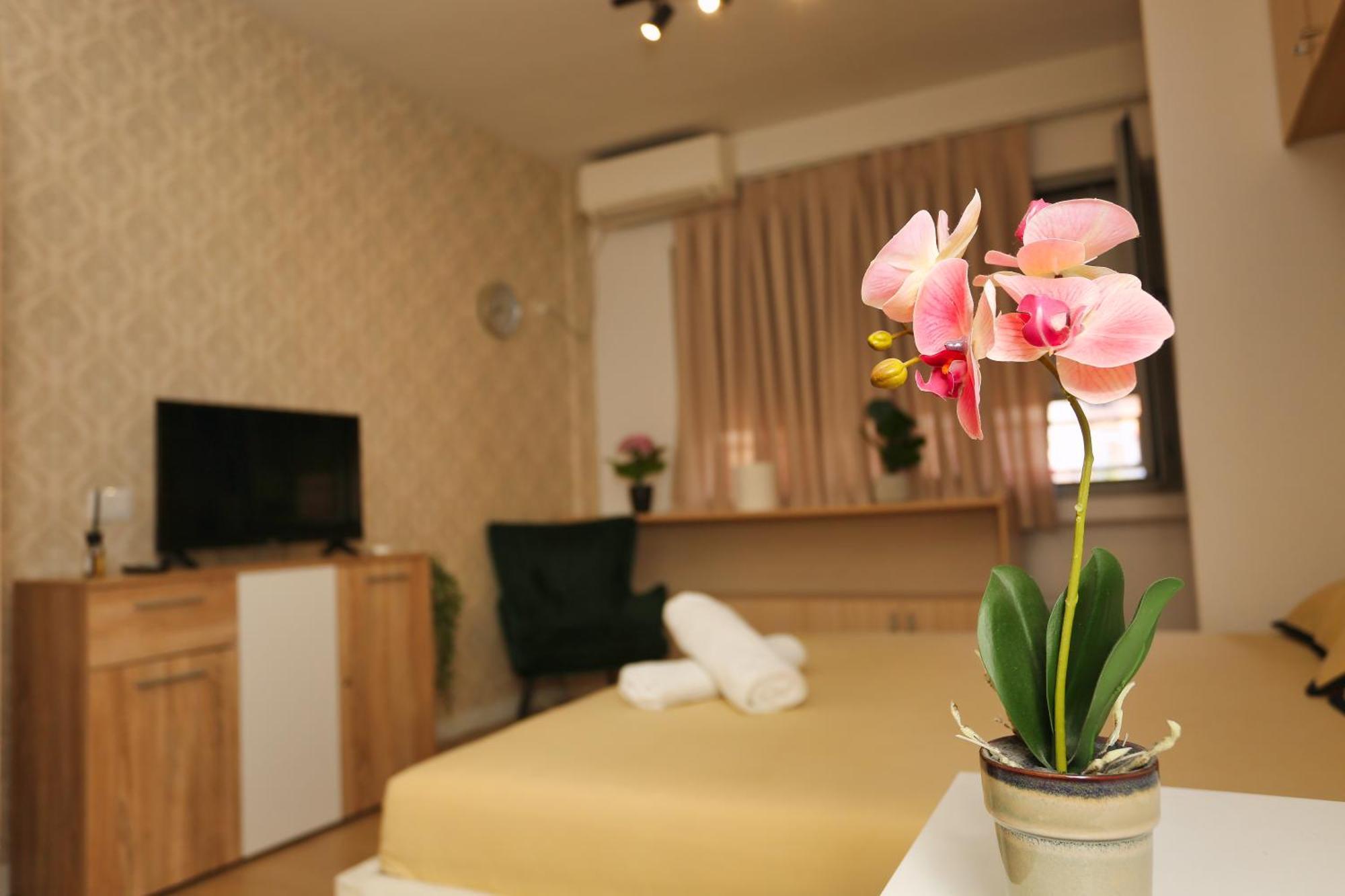 Cozy Apartment Near Square 21 Tiranë Ngoại thất bức ảnh
